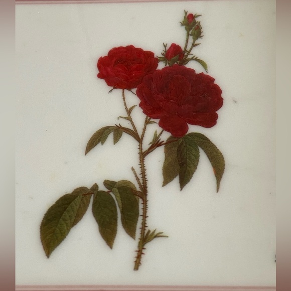 2 small red flower tray Rosa Gallica PT Redoute Design Imports art coaster Italy - Picture 7 of 15